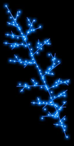 Bleu