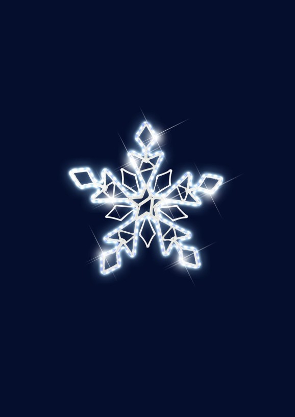 Flocon étoilé Print