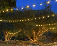 Guirlandes guinguette