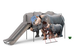 Rhinocéros